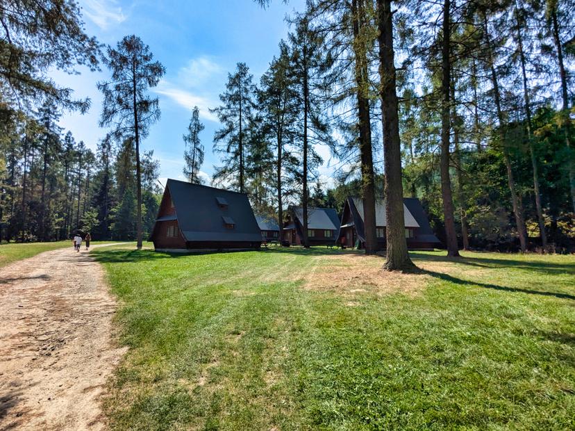 Widok na domki Jordanovy otoczone 5-hektarowym lasem i wysokimi drzewami