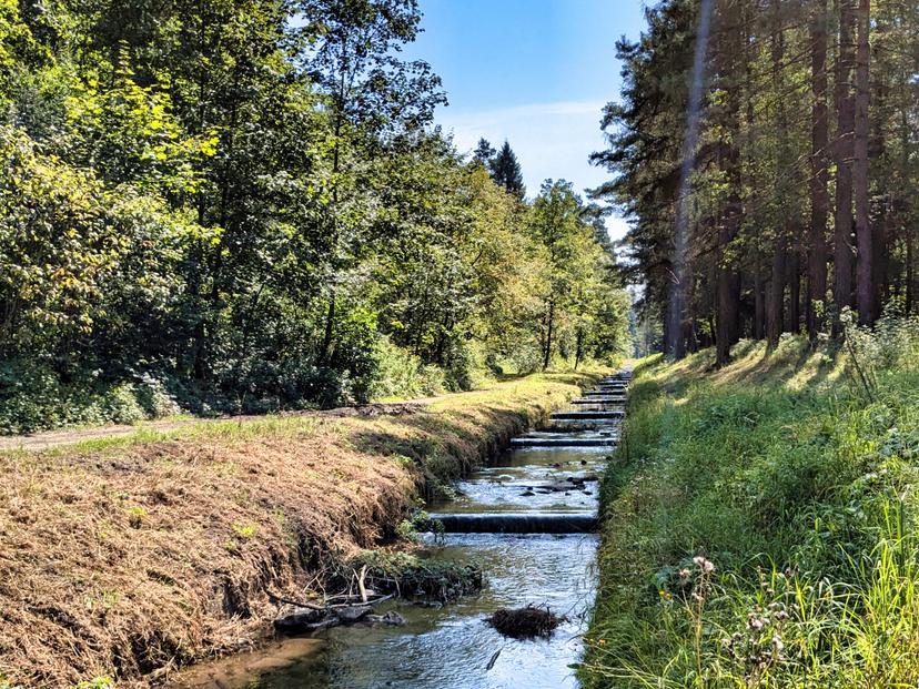 Uregulowany górski potok przepływający przez teren ośrodka Jordanova